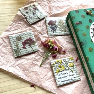 Sense and Sensibility Quote Magnet Set "a book well read"- 4 Magnets